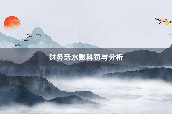 财务活水账科罚与分析